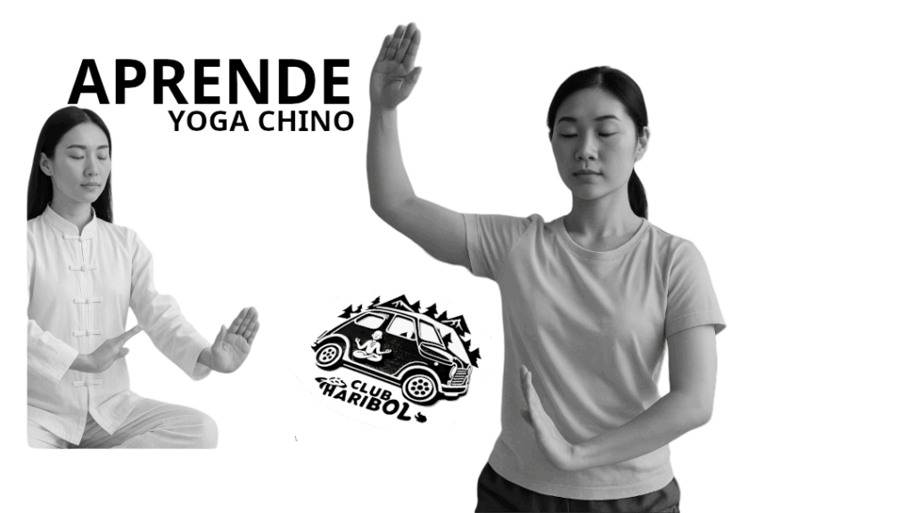 YOGA CHINO